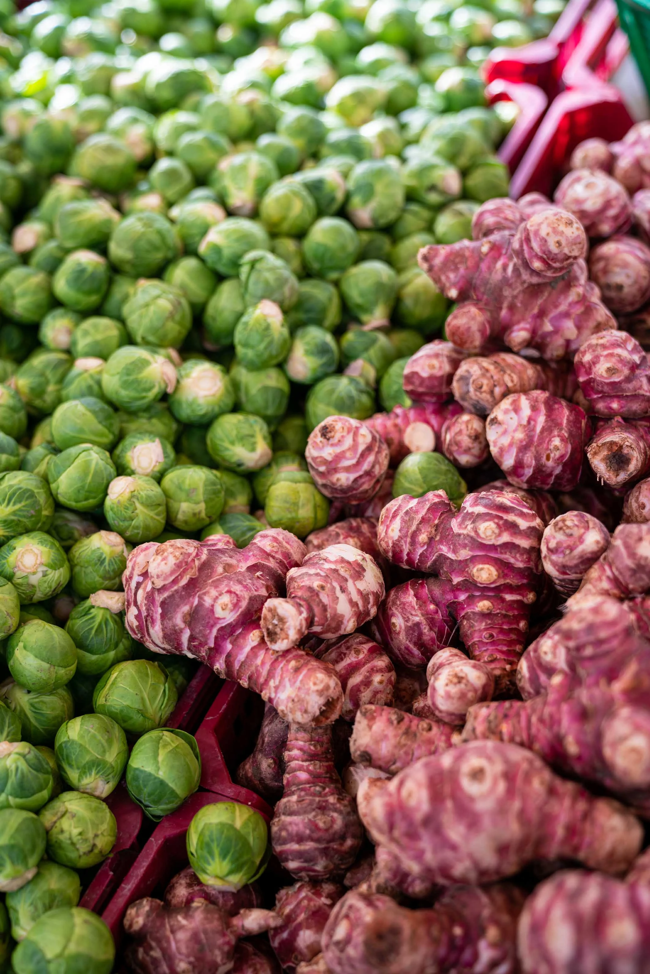Choux de Bruxelles et topinambours côte à côte sur l'étal