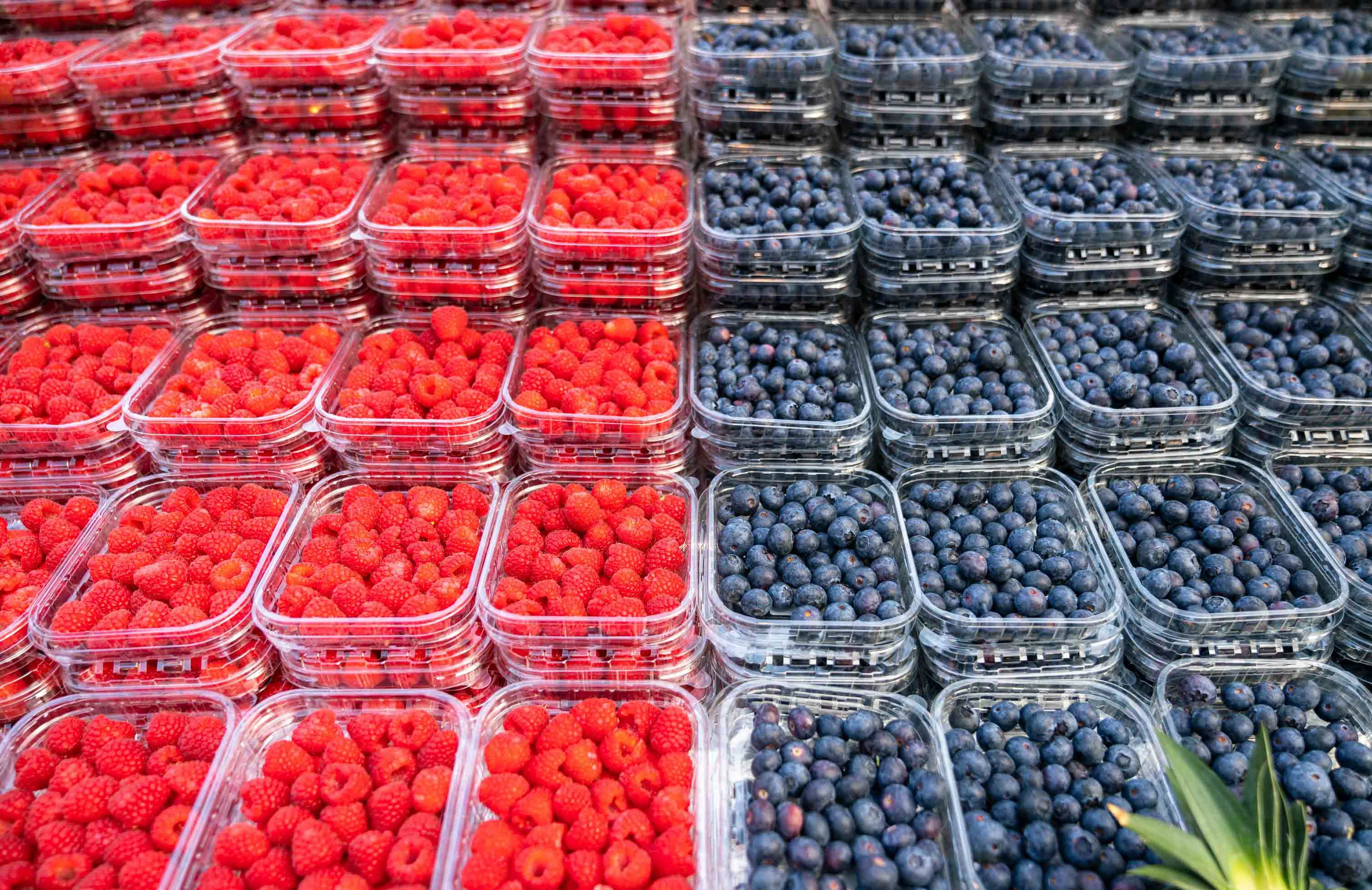 Des barquettes de framboises et de myrtilles rangées côte à côte