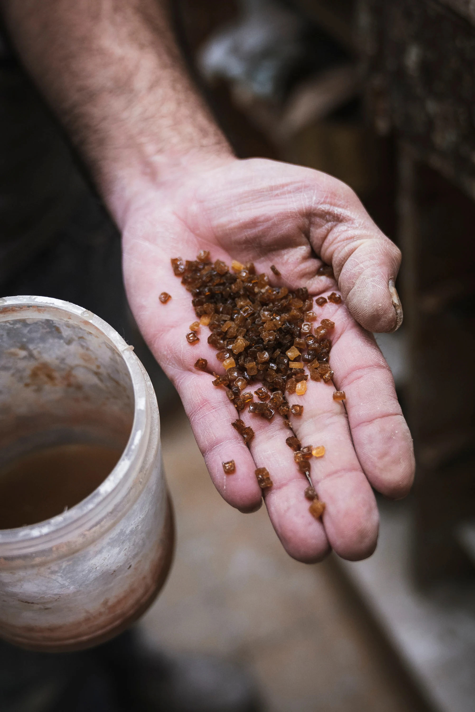 Une paume ouverte présente des grains de gomme laque
