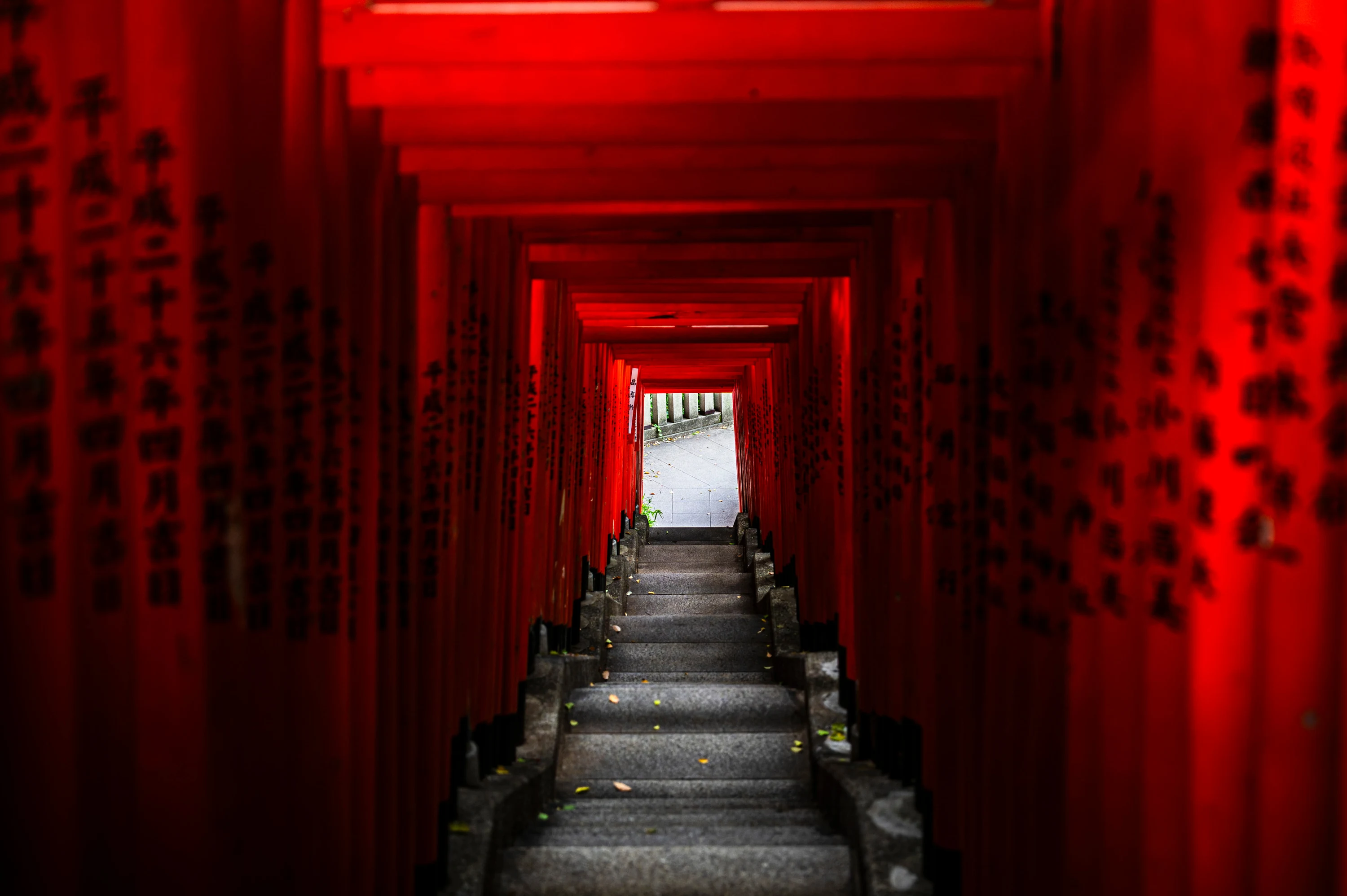 Allée de torii rouges et escalier de pierre dans un sanctuaire de Tokyo