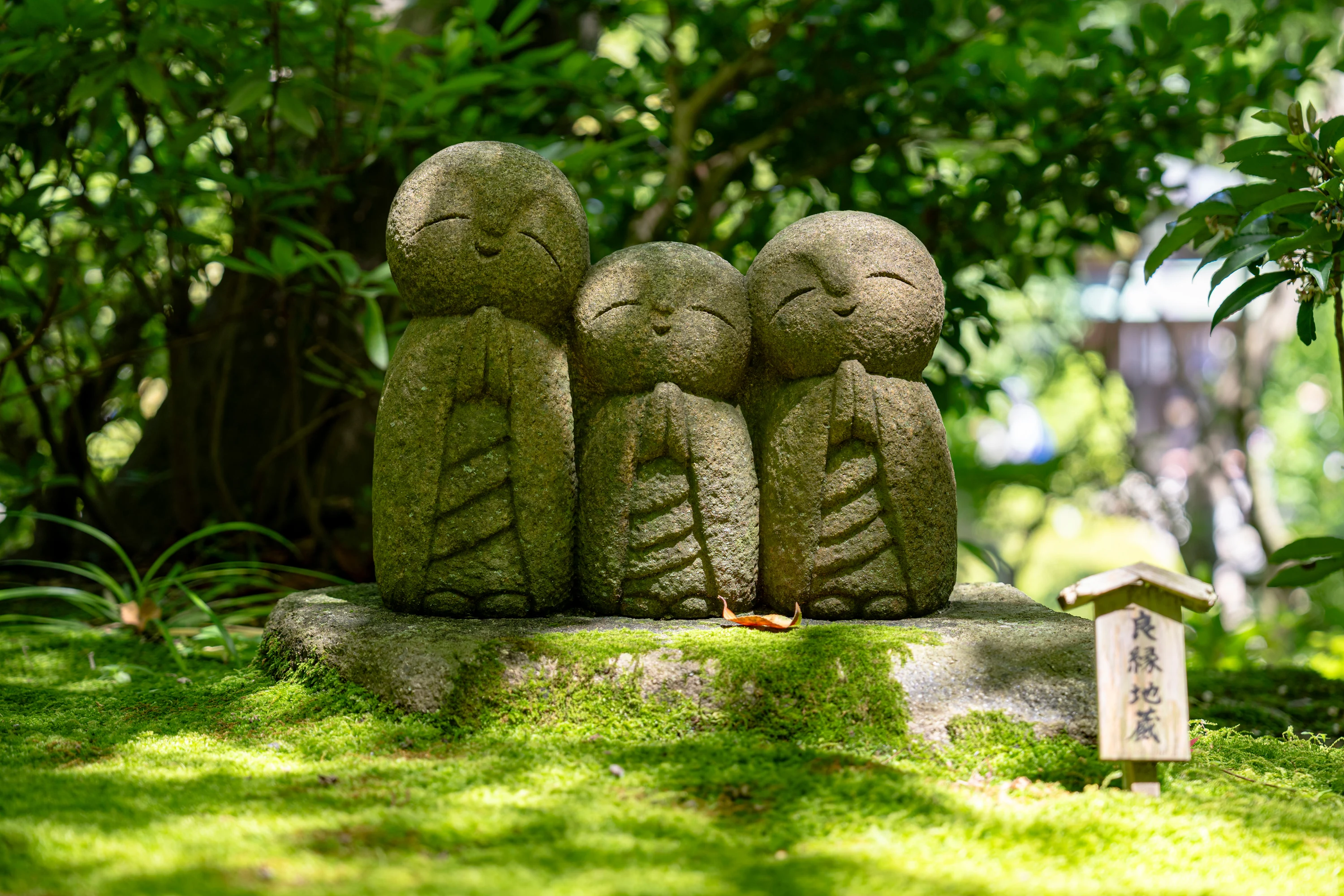 Statues Jizō couvertes de mousse dans un jardin de Tokyo, avant l'E-Prix